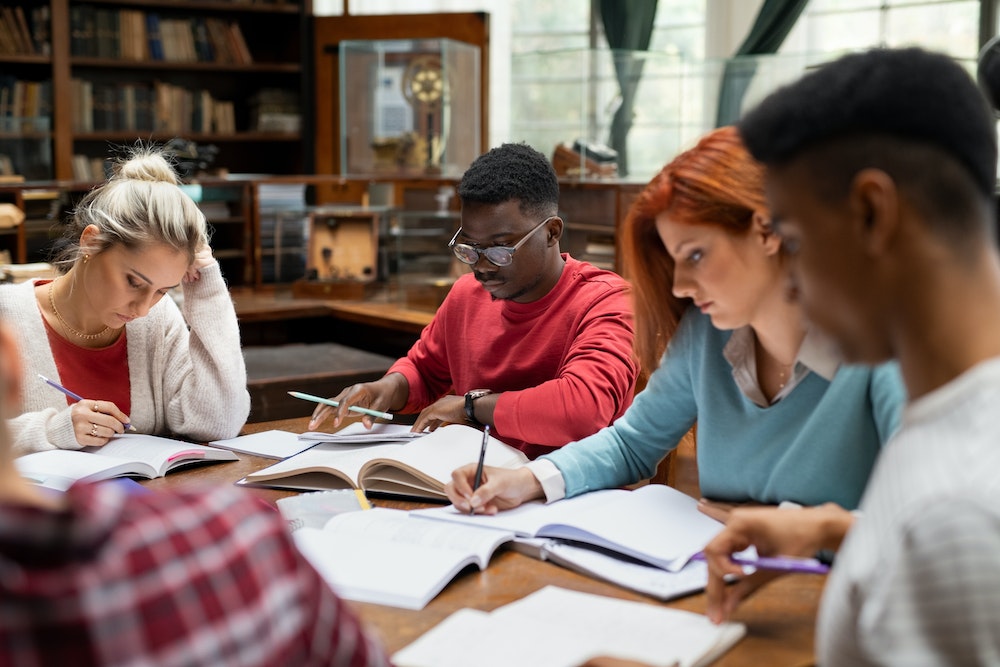 BTS MCO : une formation business pour comprendre le comportement du consommateur